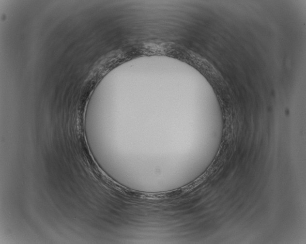 X0000087540706200704270924