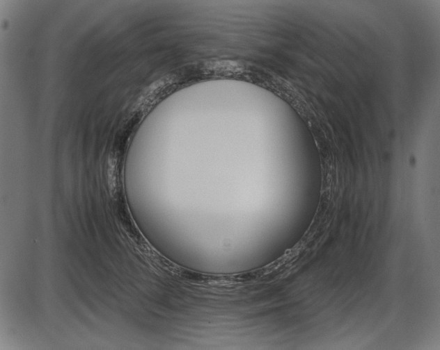 X0000087540708200704270924