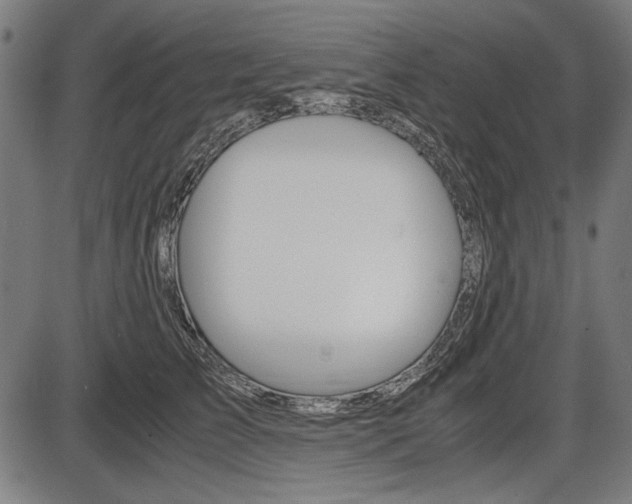 X0000087540709200704270924