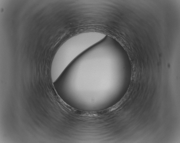 X0000087540712200704270924