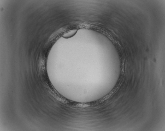 X0000087540714200704270924