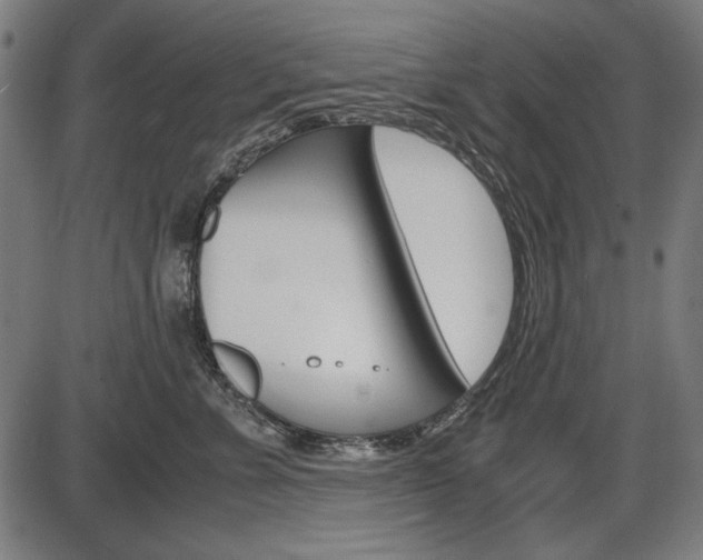 X0000087540715200704270924