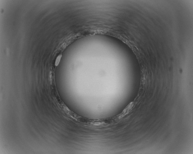 X0000087540716200704270924