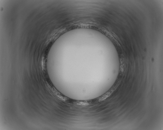 X0000087540718200704270924