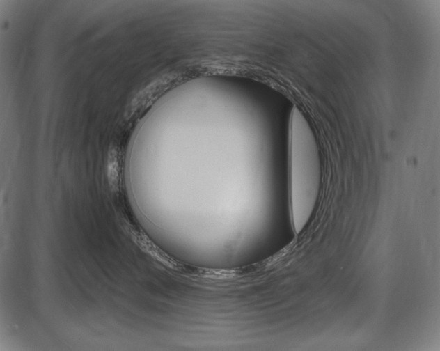 X0000087540720200704270924