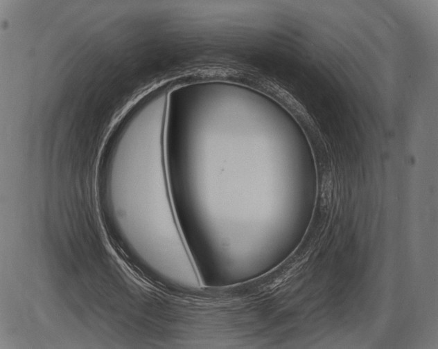 X0000087540722200704270923