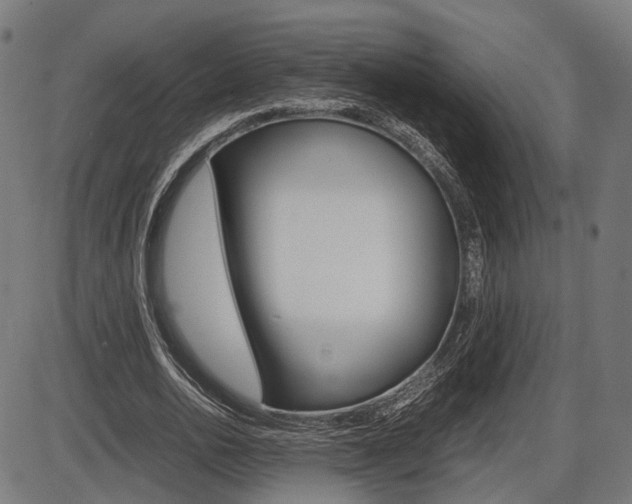 X0000087540726200704270923