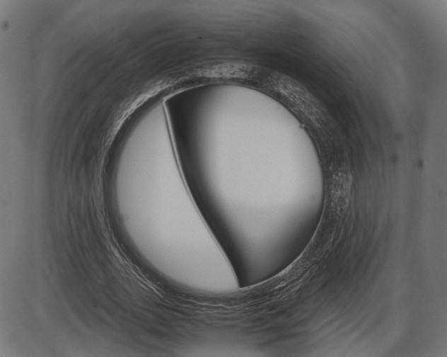 X0000087540727200704270923