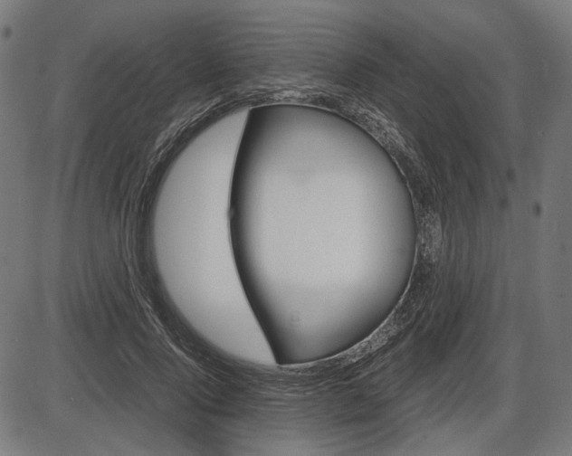 X0000087540740200704270923