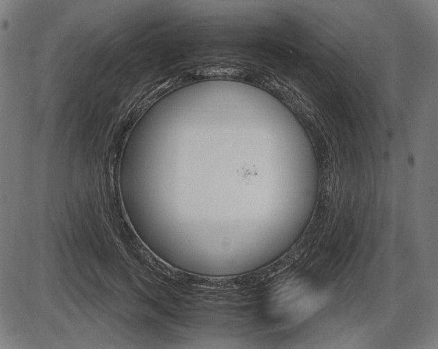 X0000087540743200704270923
