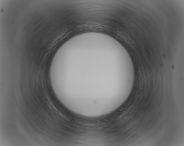X0000087540744200704270923