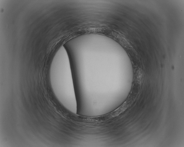 X0000087540746200704270923