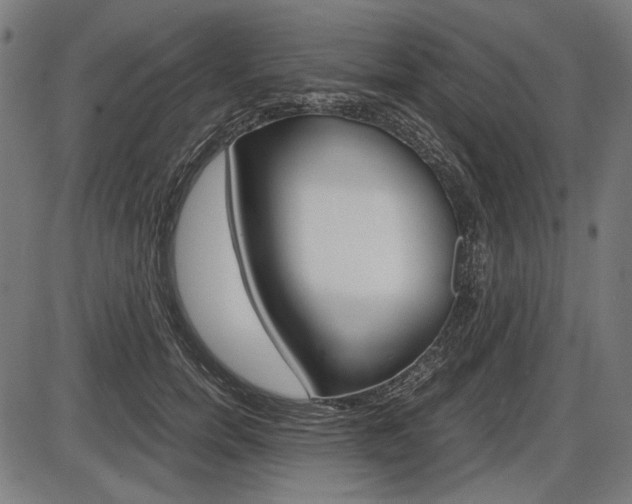 X0000087540750200704270923