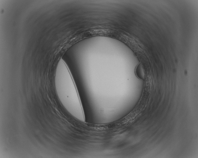 X0000087540751200704270923