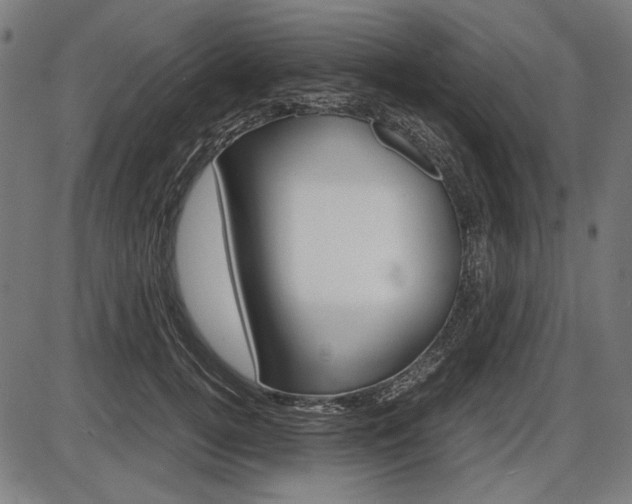 X0000087540752200704270923