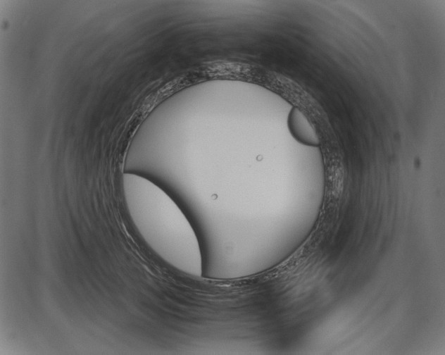 X0000087540753200704270923