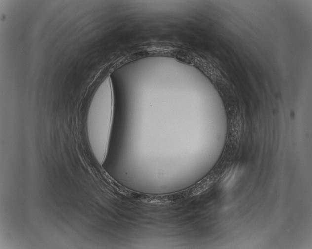 X0000087540755200704270923