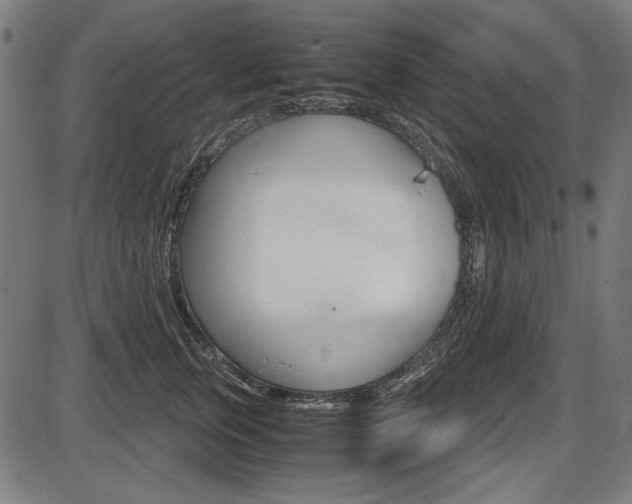 X0000087540759200704270923