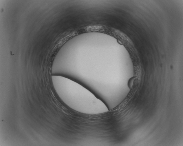 X0000087540761200704270923