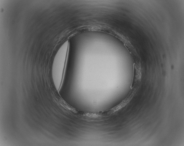 X0000087540766200704270923