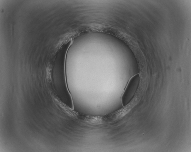 X0000087540768200704270924