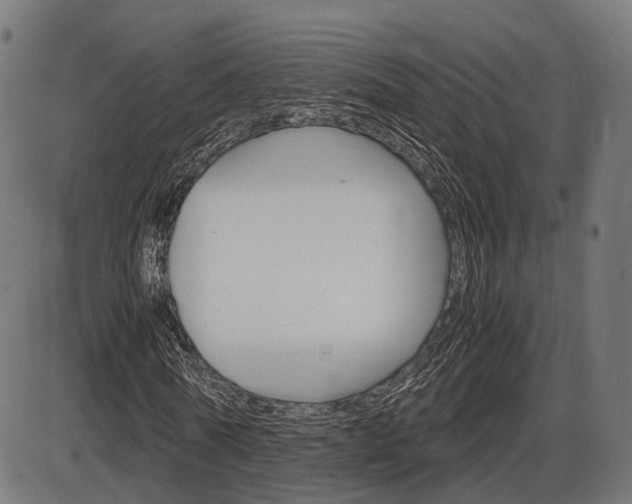 X0000087540770200704270923