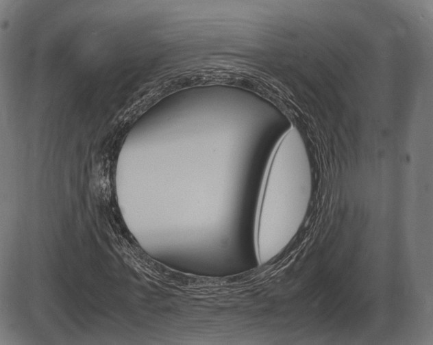 X0000087540771200704270923