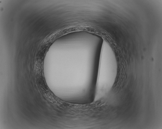 X0000087540773200704270923