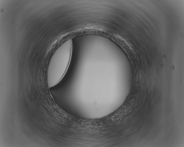 X0000087540776200704270923
