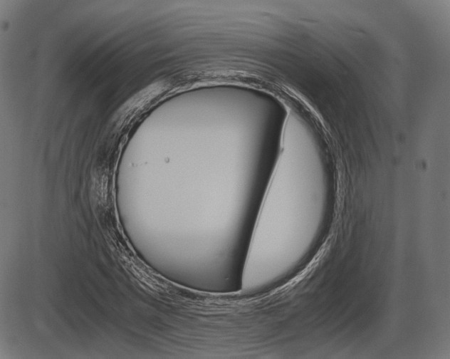 X0000087540777200704270923