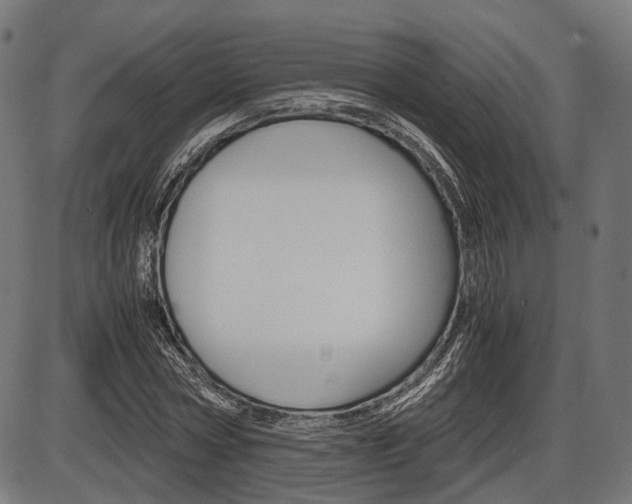 X0000087540778200704270923