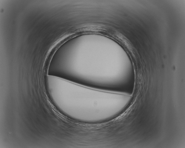 X0000087540779200704270923