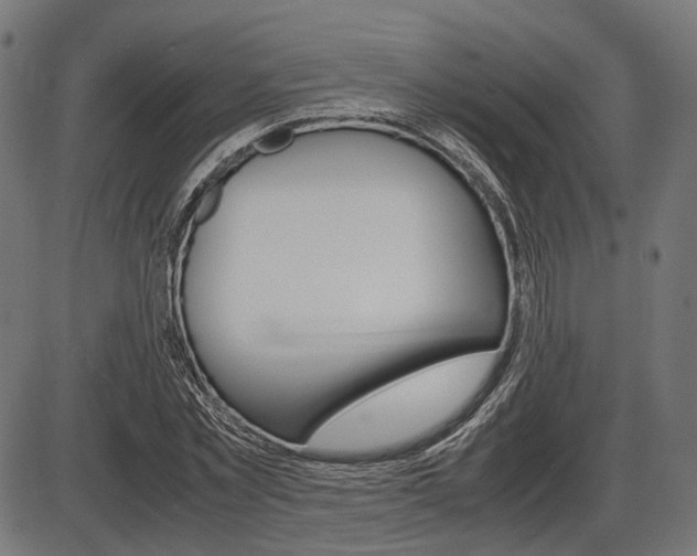 X0000087540781200704270923