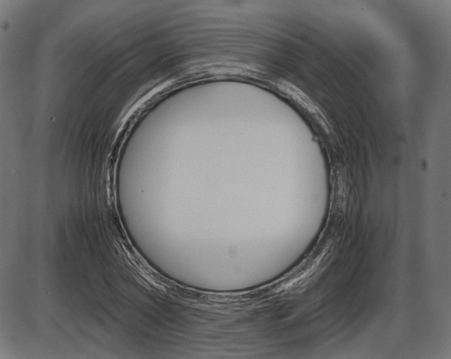 X0000087540782200704270923