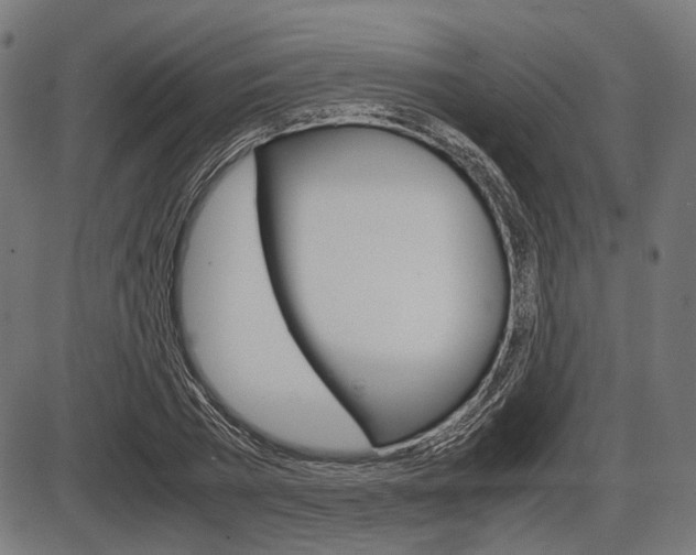 X0000087540785200704270922