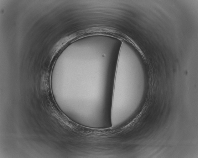 X0000087540786200704270922