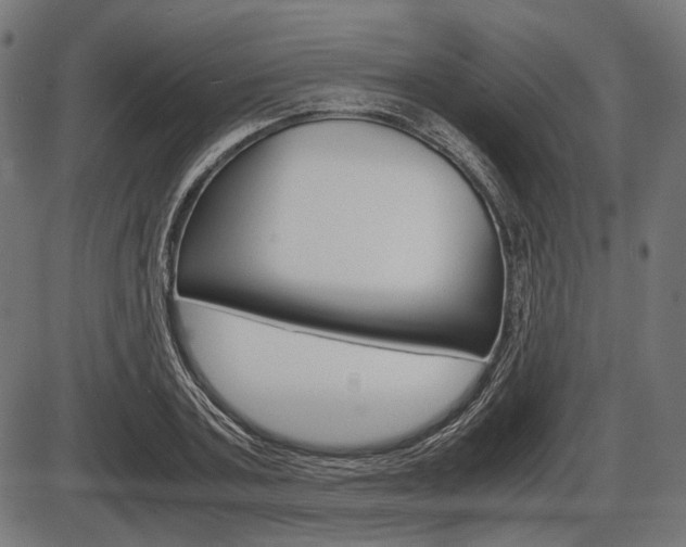 X0000087540787200704270922