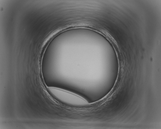 X0000087540789200704270922