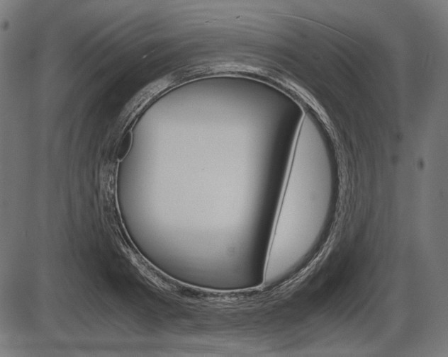 X0000087540793200704270922