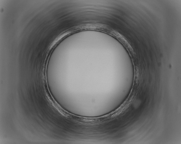 X0000087540794200704270922