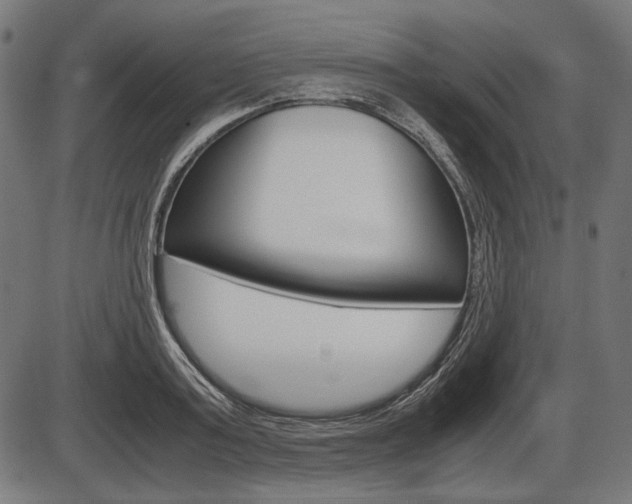 X0000087540795200704270922
