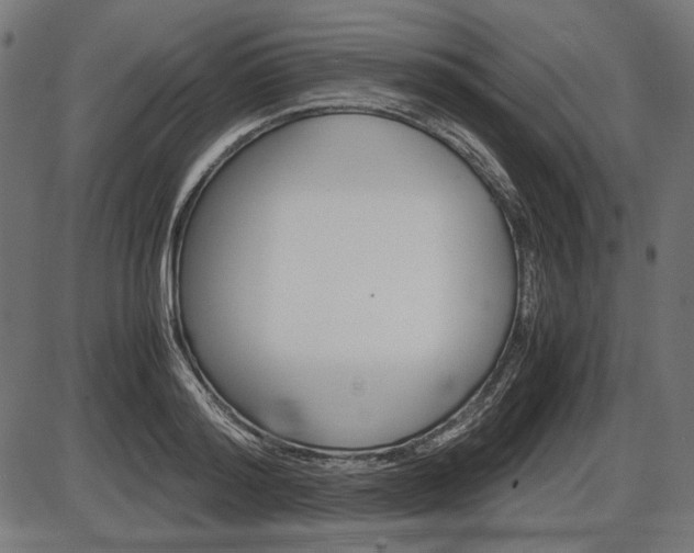 X0000087540796200704270922