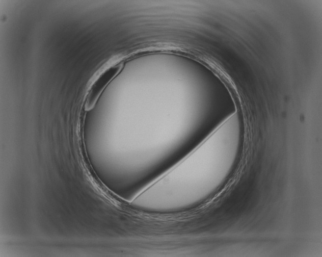 X0000087540797200704270922