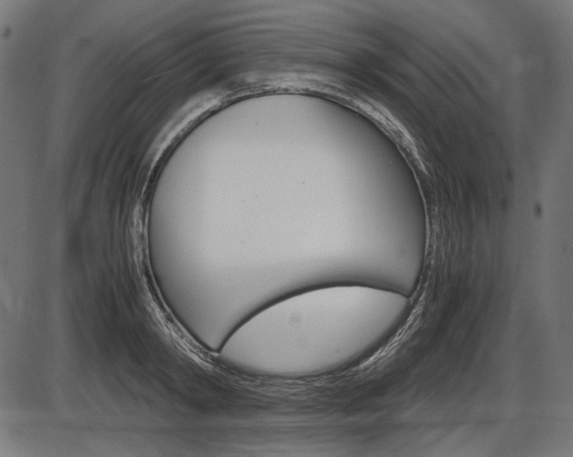 X0000087540798200704270922