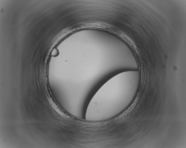 X0000087540800200704270922