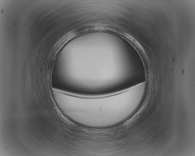 X0000087540801200704270922
