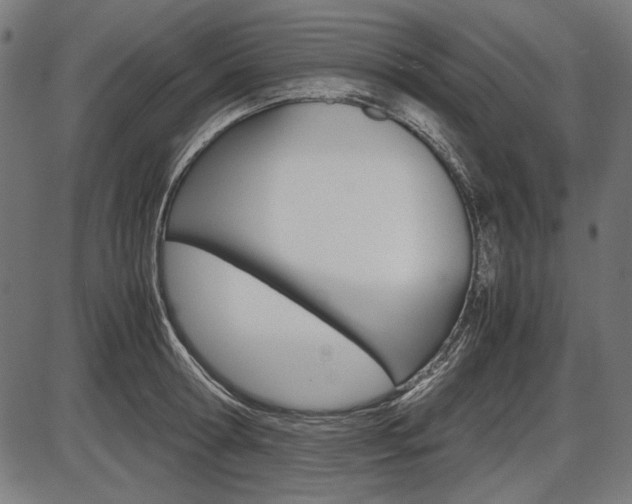 X0000087540802200704270922