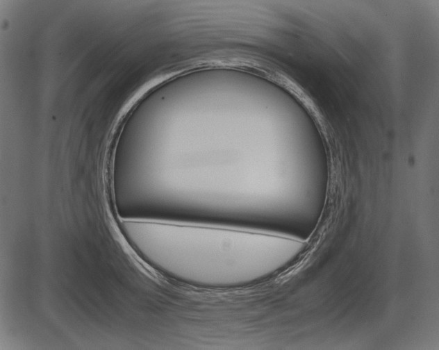 X0000087540803200704270922