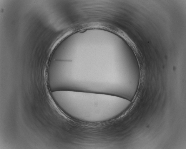 X0000087540806200704270922