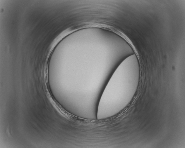 X0000087540811200704270922